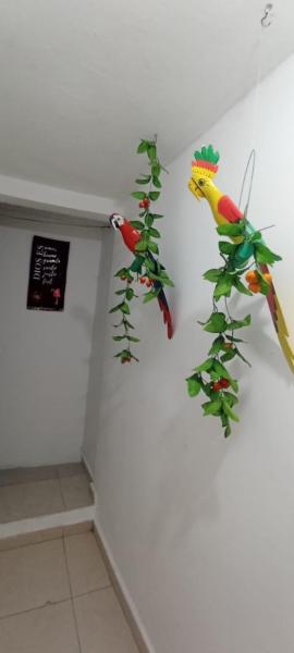 Encantadora casa con ambiente guajiro #3